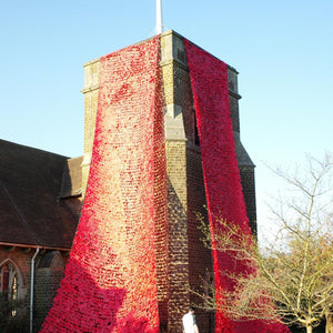 Customer photo of a custom-made net incorporated into their Remembrance Day poppy display.