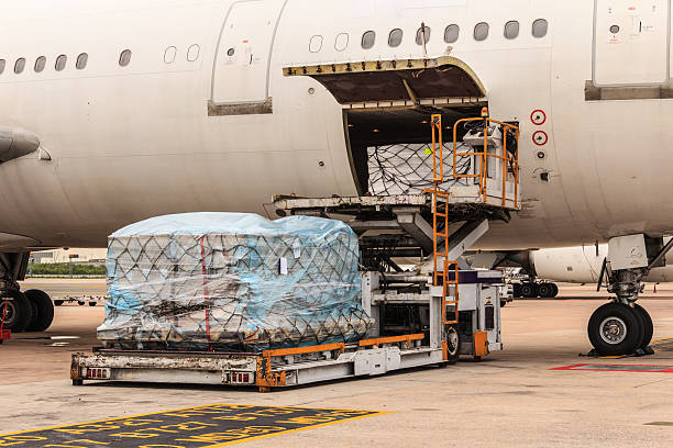 Aircraft Nets: From Aircraft to Airport