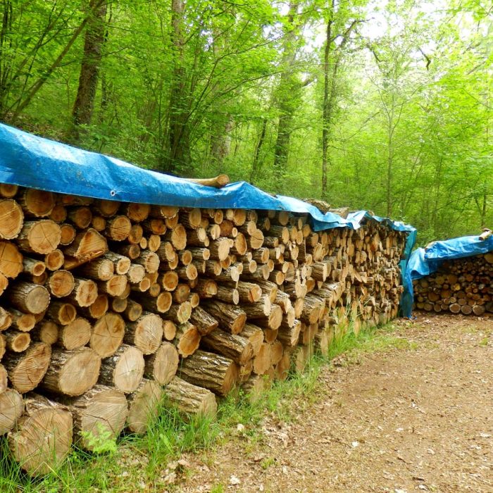 Tarpaulin covering logs