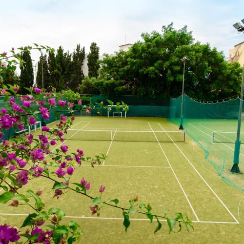 Tennis court net and boundary netting